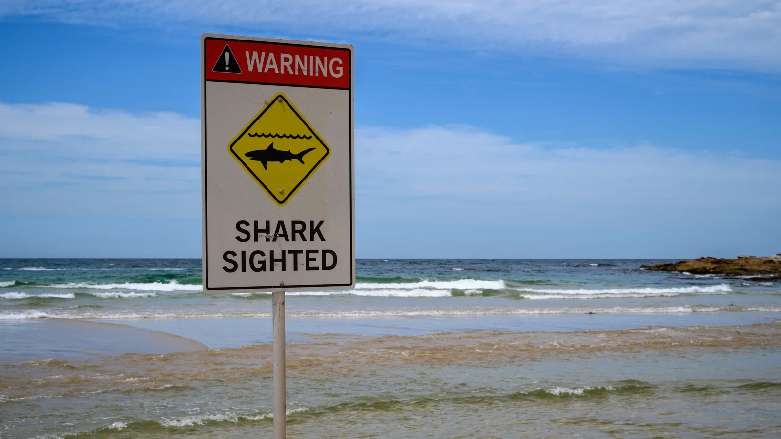 Tragedy at Long Reef: Surfer Killed in Suspected Shark Attack — First Fatality Since 2022
